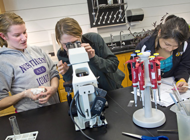 Students working in a biology lab